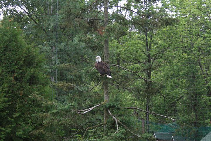 zoo 012.JPG